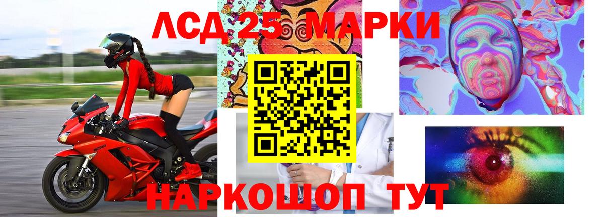Бердск  LSD-25 экстази  Вход с VPN  LSD-25 экстази кислота  гидра зеркало  Лсд 25 экстази кислота 